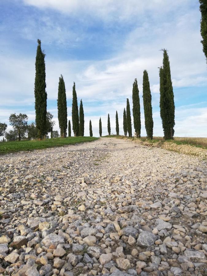Podere Sant'Antonio Buonconvento Exterior photo