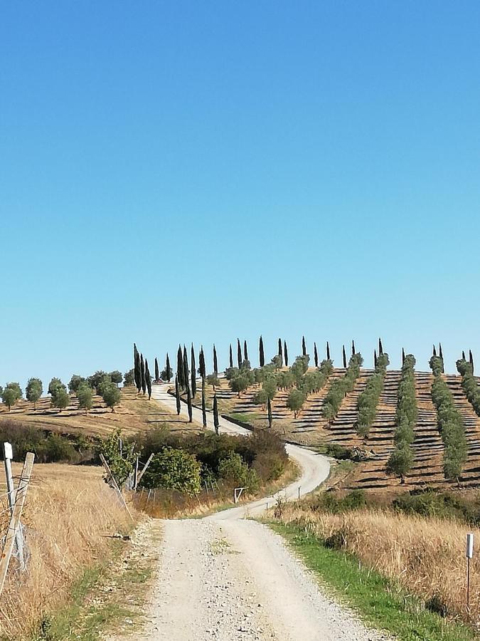 Podere Sant'Antonio Villa Buonconvento Exterior photo